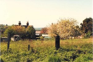 The fields that became Glenleigh Walk