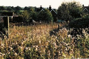 The fields that became Glenleigh Walk