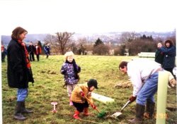 Planting the wood